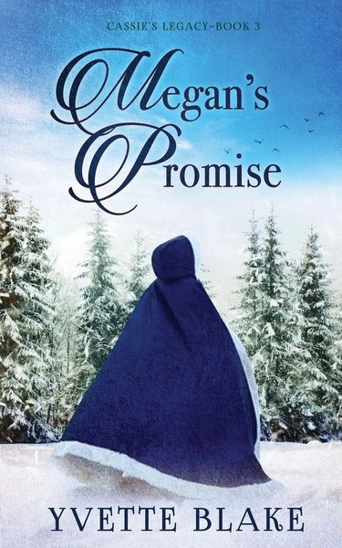 Yvette Blake | Megan's Promise | Taschenbuch | Englisch (2024)-image