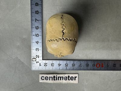Y8857 OKIMONO Ceramic skeleton figurine small skull Japan