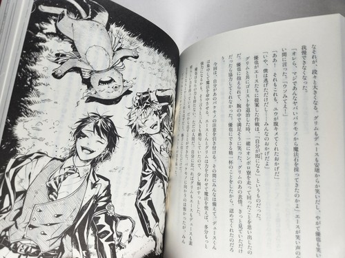 Disney Twisted Wonderland NOVEL 1 Crimson Tyrant Heartslabyul Japanese Book - Imagen 5 de 7