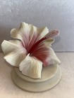 Foto 1 di 15