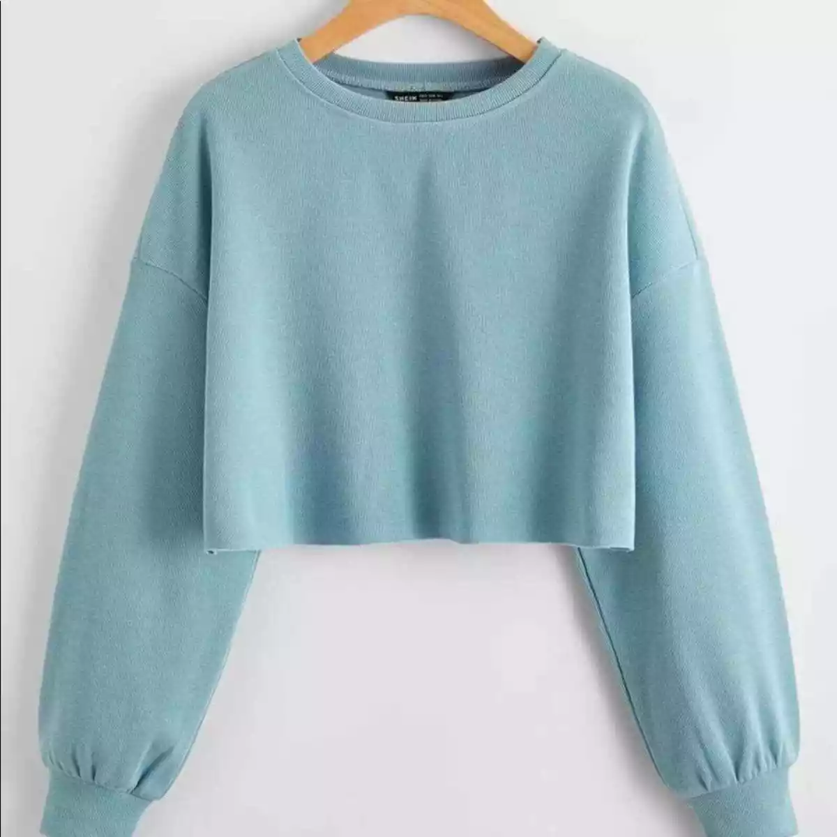 Shein baby blue cropped sweatshirt eBay