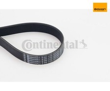 Keilrippenriemen CONTINENTAL CTAM 8PK1122EXTRA f�r BMW 5er