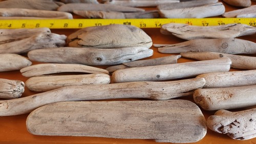 48 Unique Medium Lake Superior Driftwood for Crafts, Terrariums, & more - Picture 20 of 24