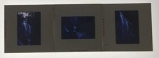 Lot Of 3 Kodak Color Transparency Waterfalls From July 1961