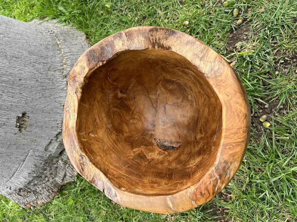 Teak Root 11.8'' Tall Shallow Vase Natural Wooden Decorative Home Decor Ornament - Image 3 of 4