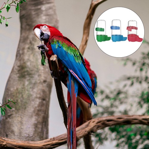 3 Pcs Bird Drinker Water Feeder Dishes Cage Set Pet Parrot Dispenser Bottle - Picture 7 of 12