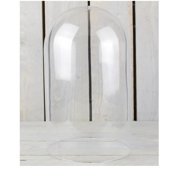 Glass Dome Display Cloche H:35 cm x 18 cm