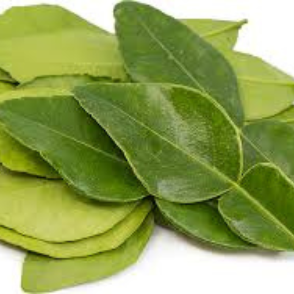 Fresh Kaffir Lime Leaves sri lankan Herbs Leaves 100 Organic eBay