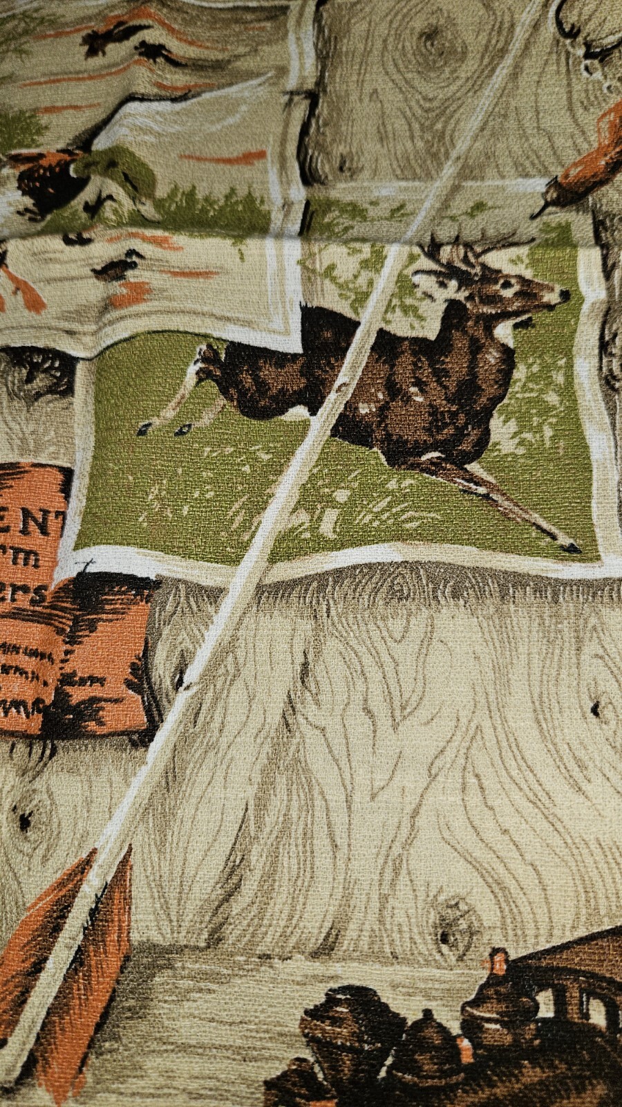 Picture 5 of 9