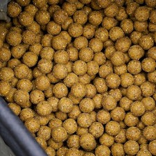 Citrus Nut 24mm 5KG - Boilies - Fishing Bait 6.00 per kilo