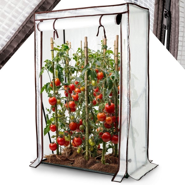 Arebos GewäChshaus TomatengewäChshaus 100Cm Treibhaus FrüHbeet FoliengewäChshaus-image