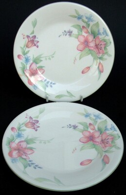 ZWEI Royal Doulton 1990er Jahre Karmel Seite oder Brotgröße Platten 16,5 cm Durchmesser