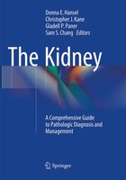 The Kidney Donna E. Hansel