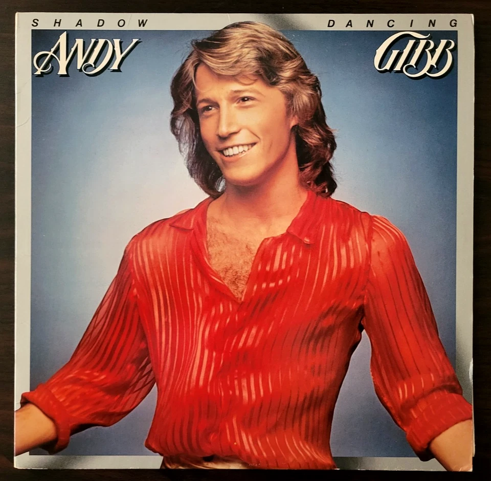 Andy Gibb - Shadow Dancing + After Dark - Pop Rock Disco VG+ 2LP Vinyl Rec Set Foto 3 de 4