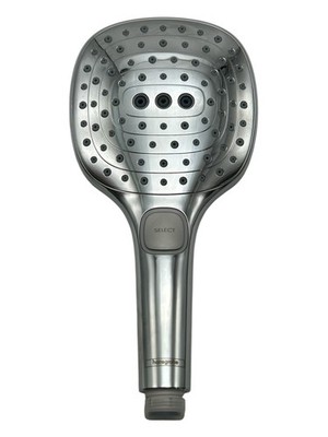 Hansgrohe 26521001 Raindance 120 Handshower Chrome
