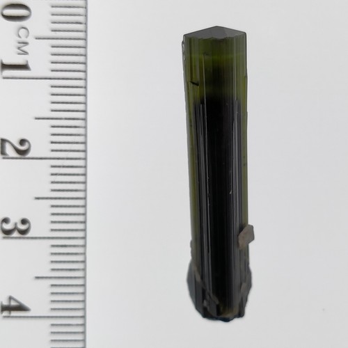 Tourmaline Elbaite green cap bicolor terminated crystal specimen StakNala 17.5ct - Bild 1 von 5