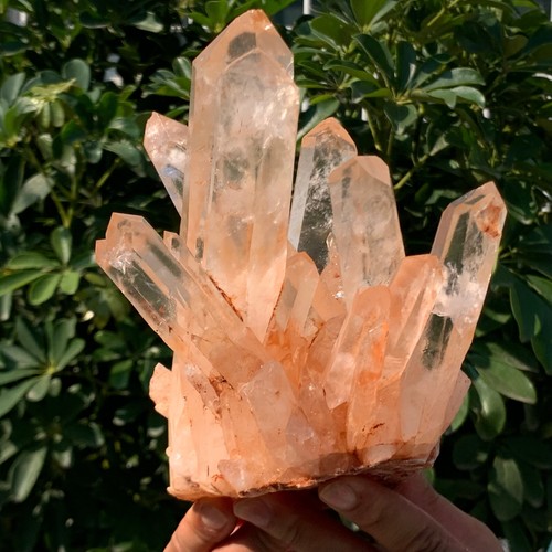 4.03LB A+++Large Natural white Crystal Himalayan quartz cluster /mineralsls - Picture 12 of 13