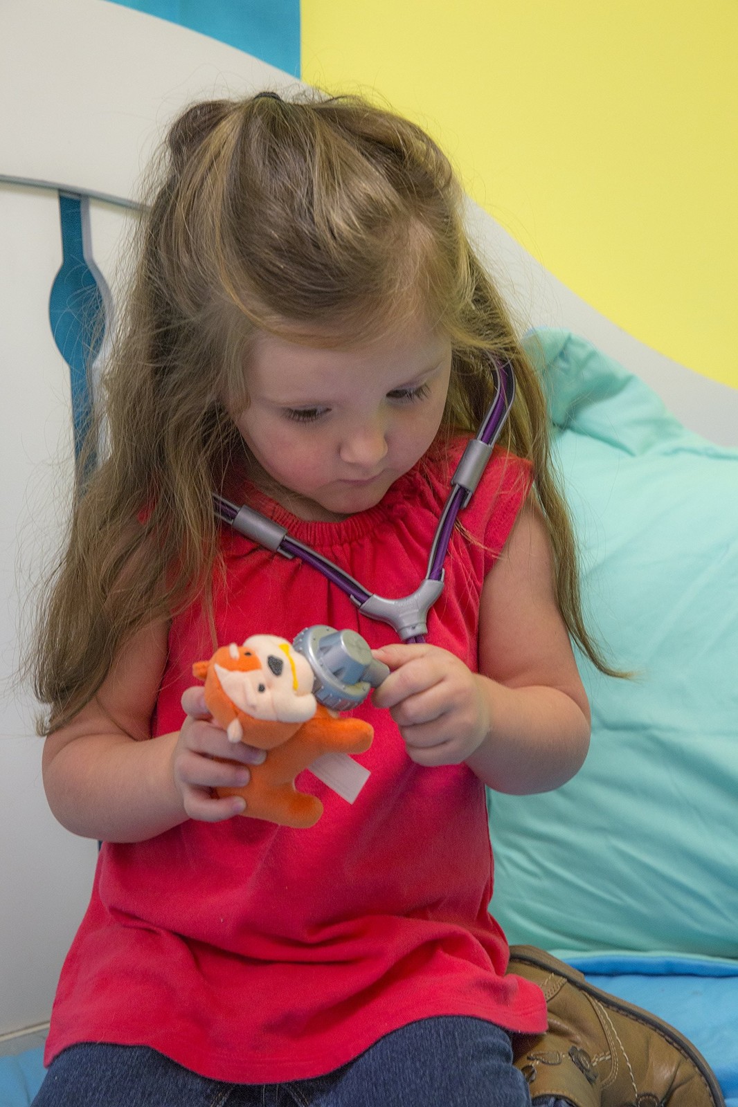 B Pet Vet Clinic eBay