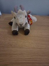 TY Beanie Babies - Goatee the Goat with Tag.