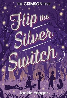 Flip the Silver Switch Volume  - VERY GOOD