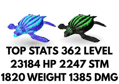 Archelon 1385 DMG TOP STATS Ark Survival Ascended Official PVE