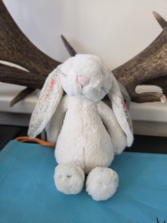 Jellycat Blossom Cream Bashful Bunny 1ª edición Juguete suave de peluche Liberty pequeño 8"