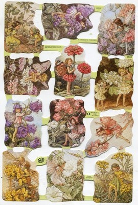 Oblaten scrap  chromo  MLP 1888 Blumen Elfen Flower Faries RAR  24 cm