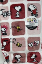 Berkshire Blanket Peanuts Gang Valentine Plush Throw Blanket