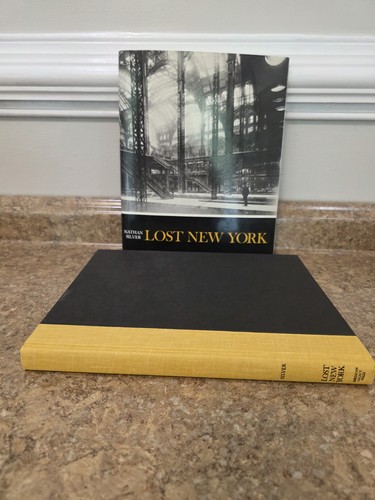 LOST NEW YORK Nathan Silver HC DJ Vanished Architecture Building Hotels Mansions - Foto 3 di 23