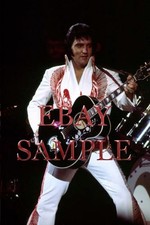 Elvis Presley concert photo # 2321 Huntsville, AL 5-31-75 Evening