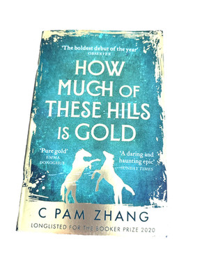 How Much of These Hills is Gold: Longlisted for the Booker Prize 202... by C Pam