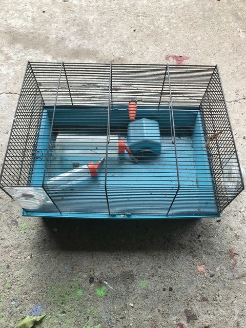hamster cage price