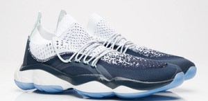 reebok dmx fusion hc