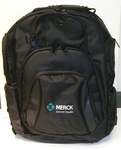 mountain logo backpack