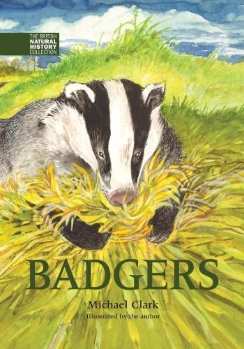 Badgers - 9781873580998