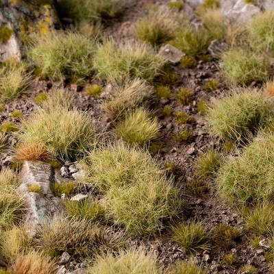 Gamers Grass Wild Tuft (Wargame / Model Basing)