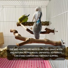 Natural Wood Parrot Safe Branch Perch,Bird Stand Rack Toy Set,Bird Cage Platform