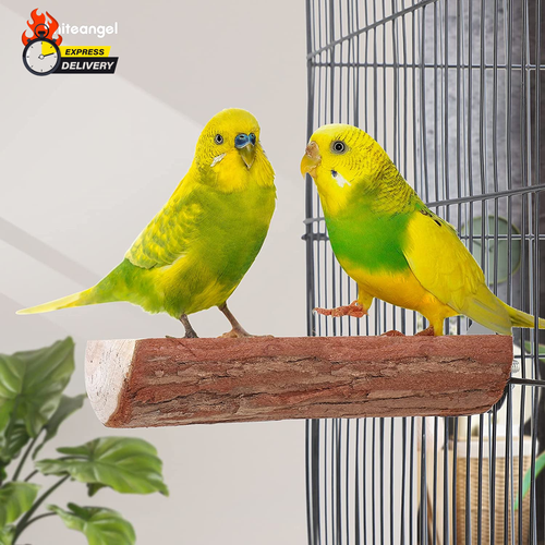 Parrot Cage Perch, Wooden Platform for Birds (2 Packs) - Picture 7 of 12
