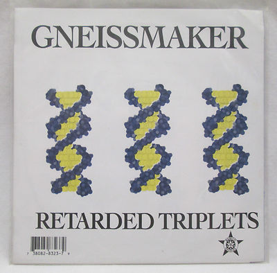 Gneissmaker I Am The States Retarded Triplets MN Rock Ramco New 45 Record