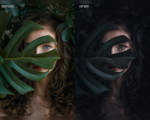 5 Dark Style presets Lightroom presets Dark preset Moody preset Cinematic preset - Picture 2 of 10