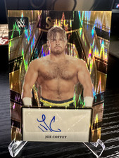 JOE COFFEY 2024 PANINI - SELECT WWE FLASH AUTO PRIZM SL-JCF