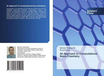 Behnam Farhang Rik (u. a.) | An Approach to Computational Nano-Chemistry | Buch