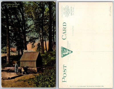 Spring House Willimantic Camp Spring CT Woods Postcard