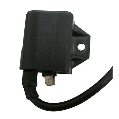 ECU Spule CDI / Wandler 2 Faston Atala 50 Hacker LC 1997-2000