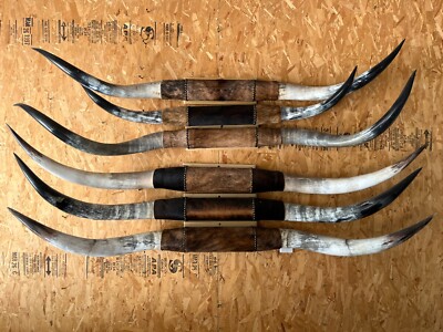 MOUNTED STEER HORNS 5'   WIDE to 5' 6'' LONGHORN POLISHED NEW MOUNT BULL COW