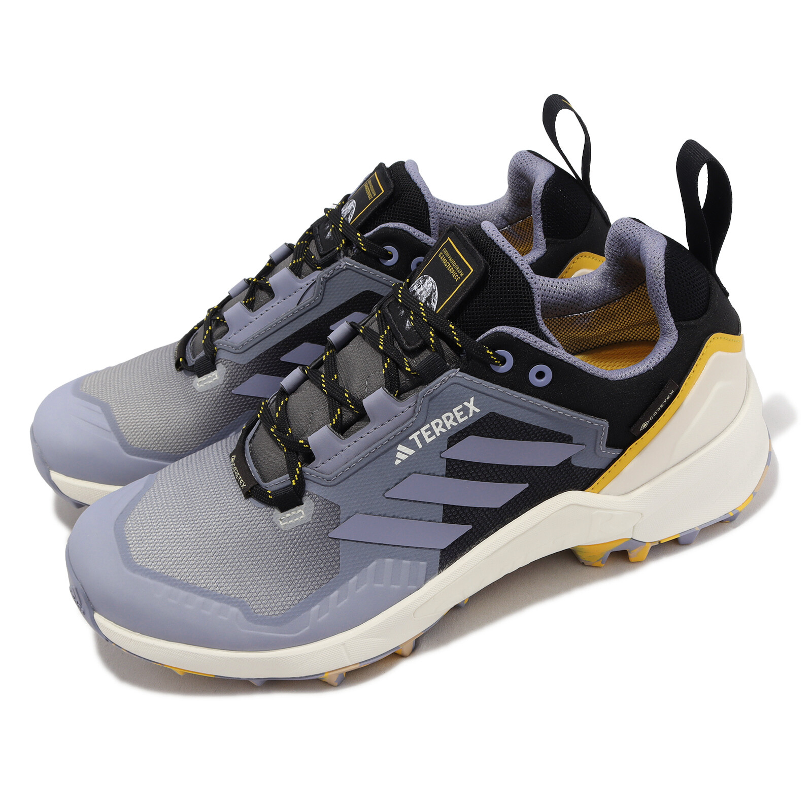 adidas x National GeographicTerrex Swift R3 GTX X NATG Violet Мужские кроссовки для улицы HQ8826