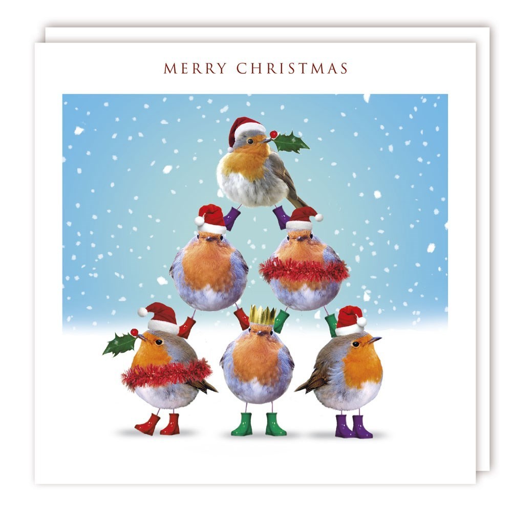 Funny Christmas Card Robin Pyramid - Silly Fun Animals Festive Xmas Card