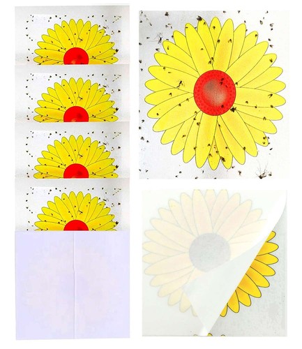 20PCS Floral Window Fly Stickers, Flies Sticker Trap for Indoor Insect Pest