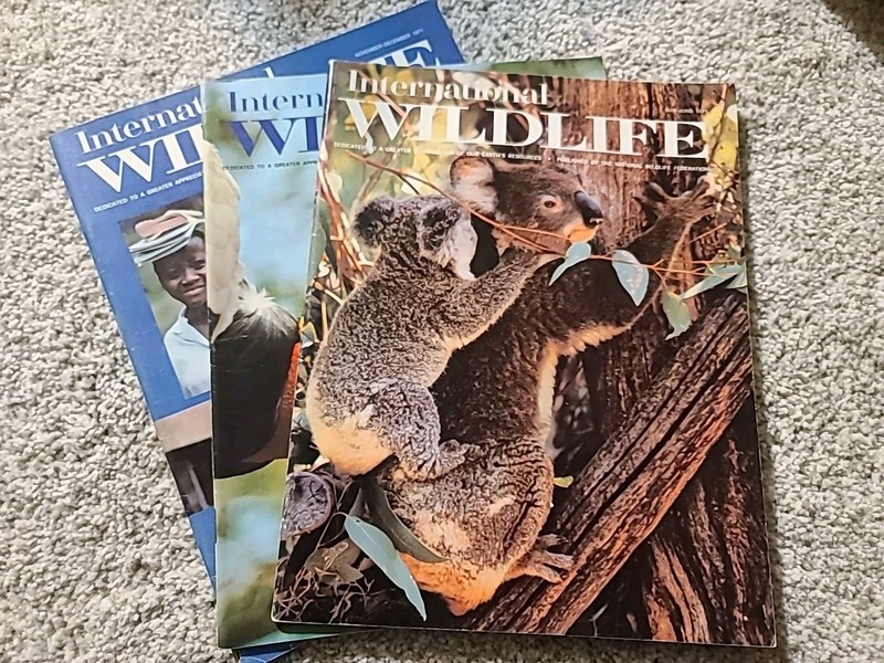 International Wildlife Magazine – 1971 Lot of 3 (May/Jun, Jul/Aug, Nov/Dec) Vint