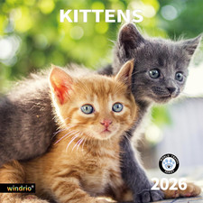 2026 Wall Calendar,Calendar 2026, November 2025 - December 2026, Wall Calendar K